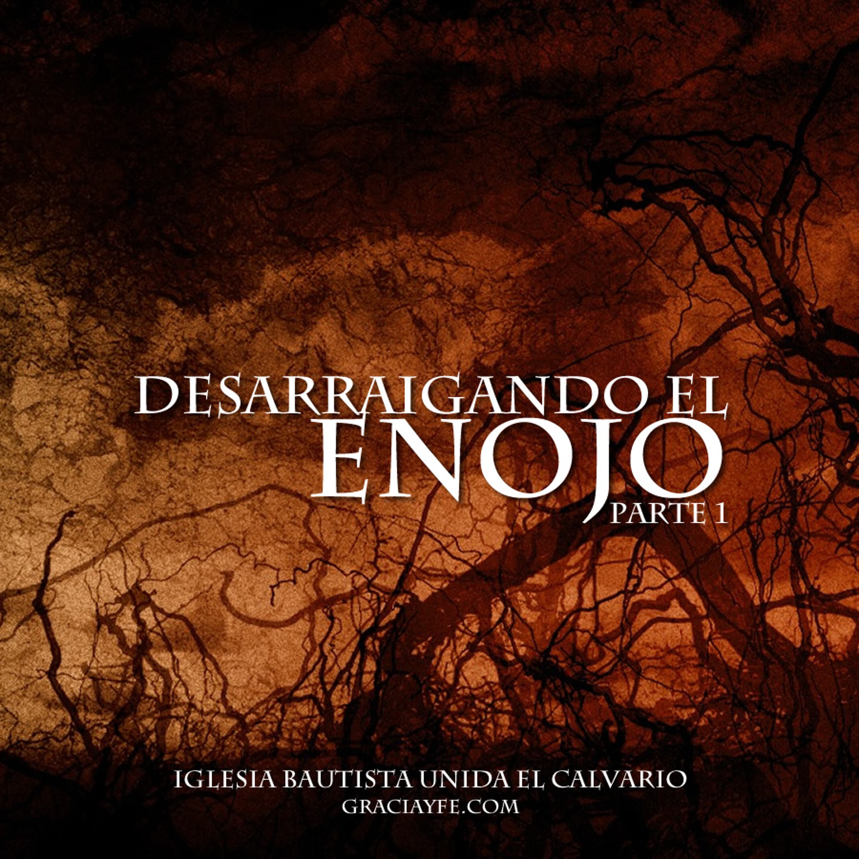 Desarraigando el Enojo (Parte 2)