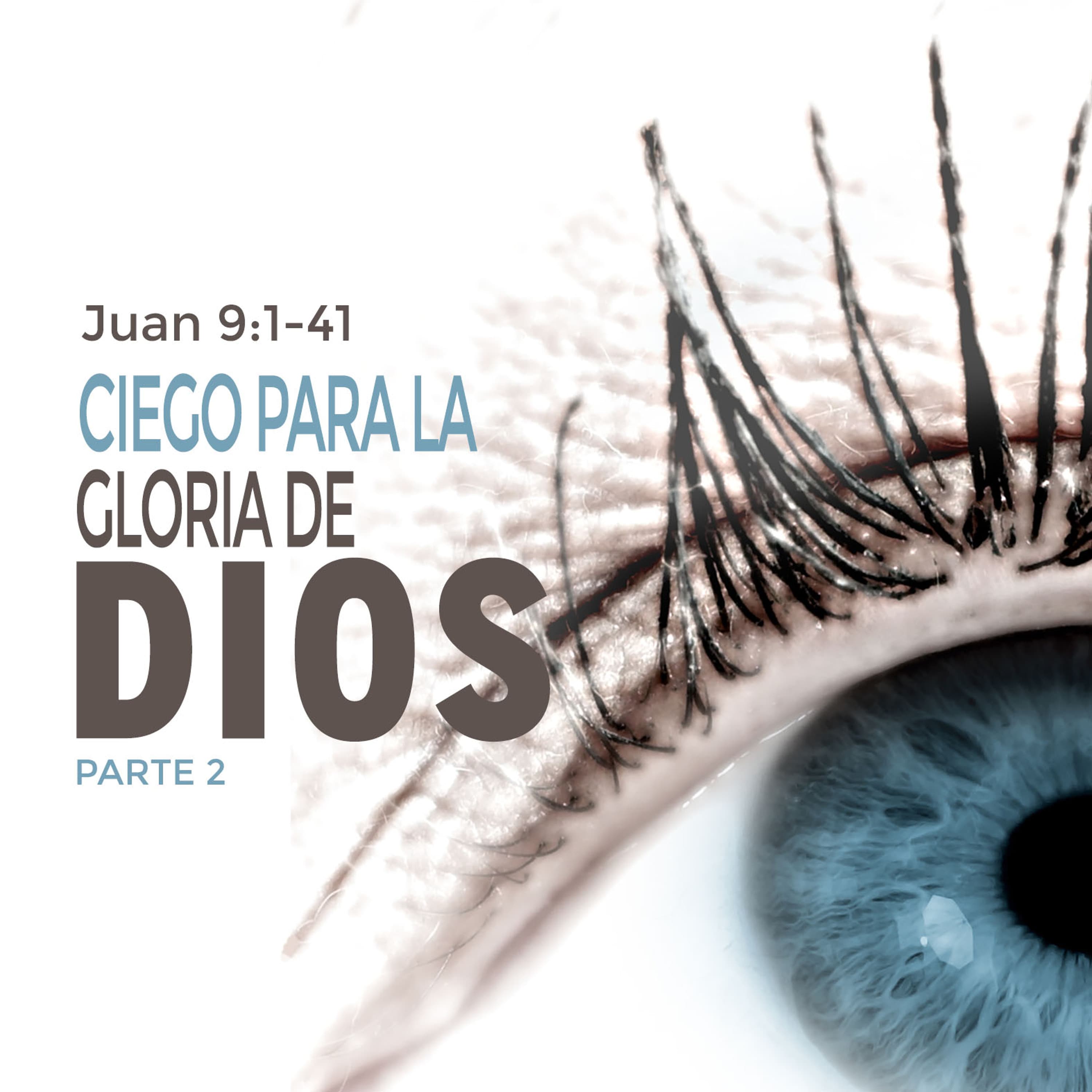 Ciego para la Gloria de Dios (Parte 2)